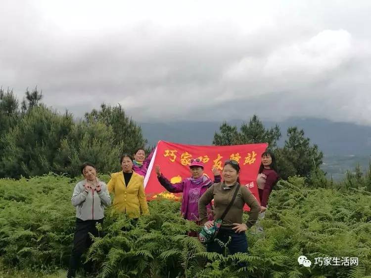 巧家马树湿地,大白路花海,尹武村徐家粱子牧场,阿尼卡