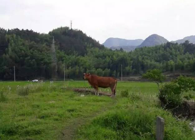 衡山县农村人口_衡山县地图(3)