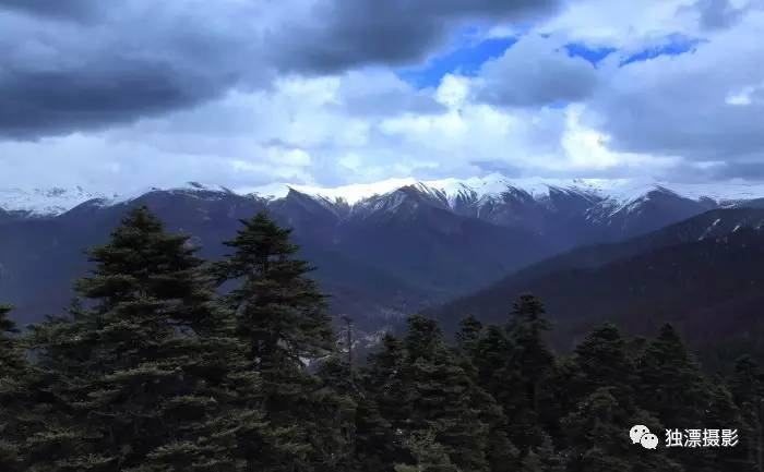 雪山千年恋的简谱_雪山千年恋图