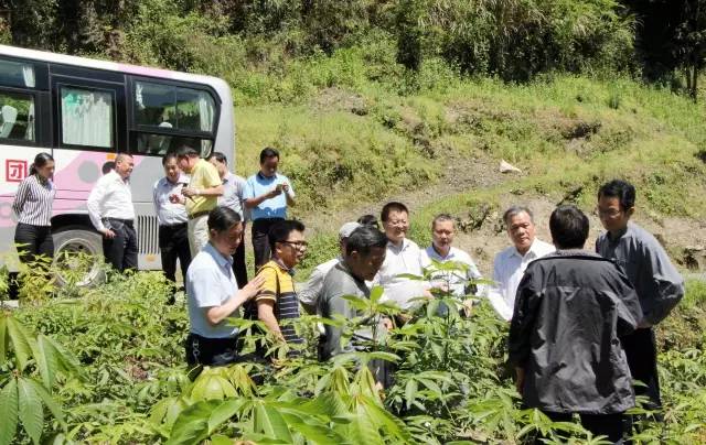 近日竹溪这些地方被广东企业家经贸考察团盯上了