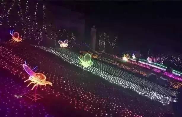 天啊！武汉首届动态灯光秀，美的不要不要的，门票免费大派送送送……