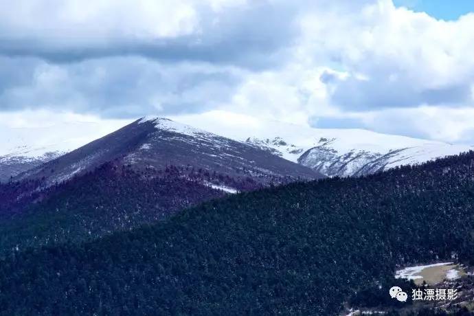 雪山千年恋简谱_千年的雪山简谱歌谱(2)