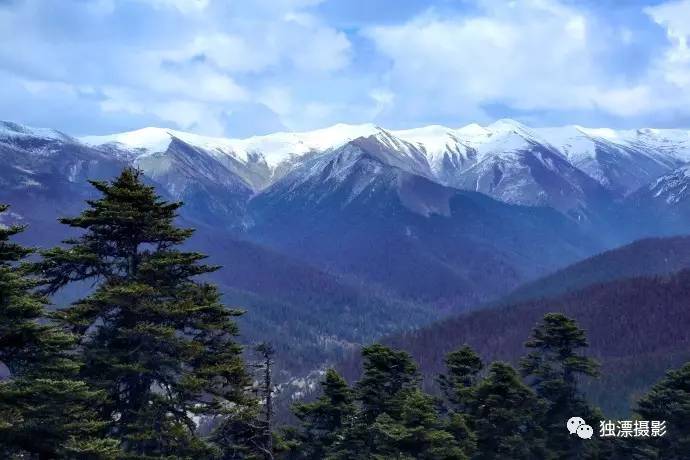 雪山千年恋简谱_千年的雪山简谱歌谱