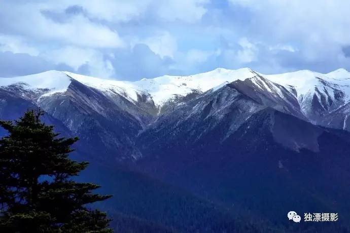 雪山千年恋的简谱_雪山千年恋图