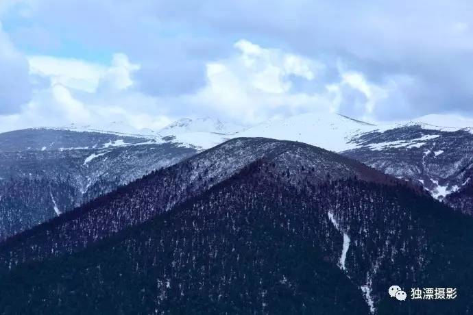 雪山千年恋的简谱_雪山千年恋图