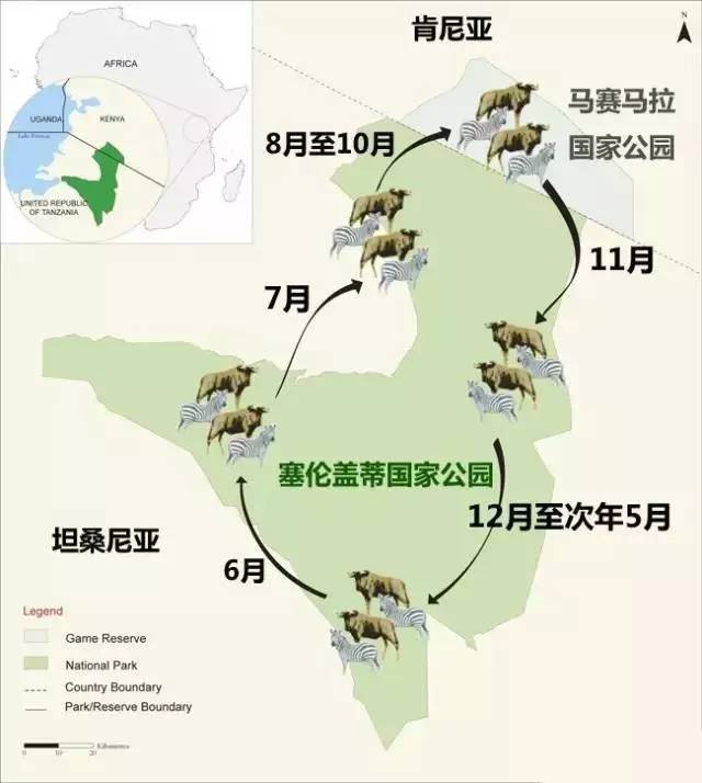 非洲人口迁移_10万年前现代人类开始走出非洲时人口数量还不到一百万 如今全(3)