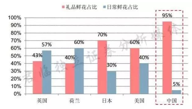 1997年荷兰人均GDP_荷兰风车(3)