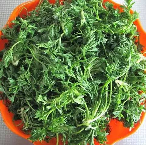 这种野菜竟然是"养肝第一药"!每年吃一点,到80岁不患肝病!