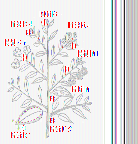 截长什么短成语_成语故事图片