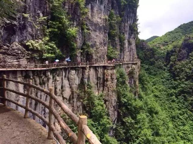 坐标:恩施大峡谷七星寨景区