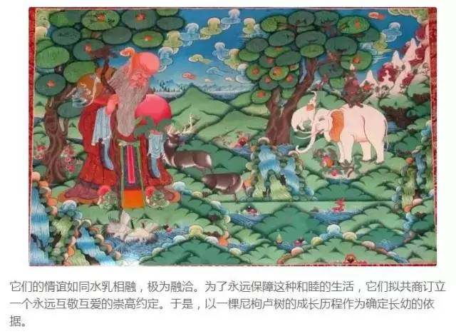 神秘的藏族文化 图解《和睦四瑞图象》