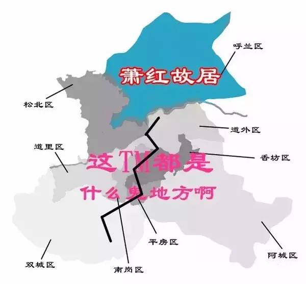 哈尔滨市人口_黑龙江城市人口盘点,8个城市常住人口超过了百万