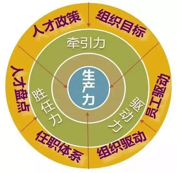 完善人才管理体系提升企业竞争力