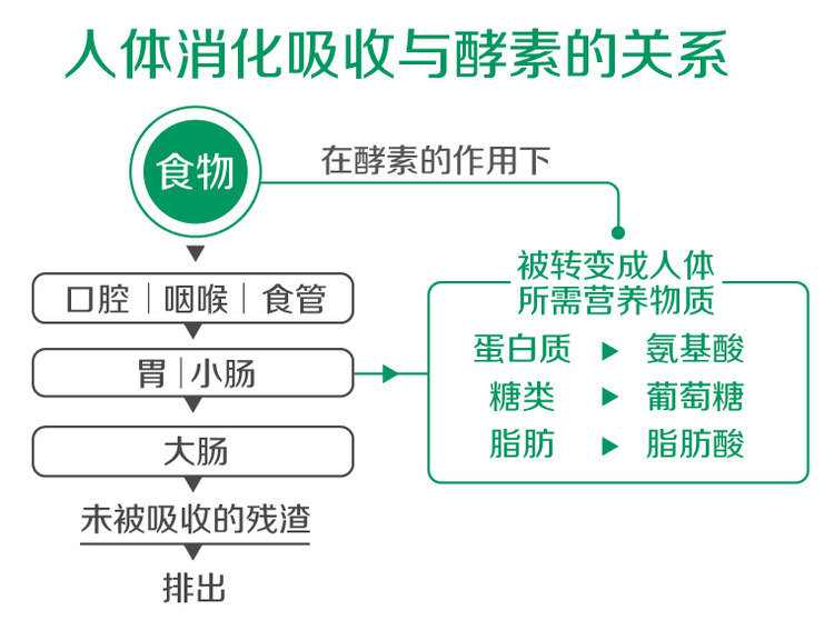 孝素的原理是什么_孝的本义是什么(3)