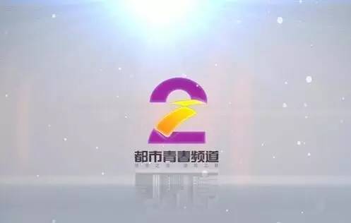 频道招聘_人民网黑龙江频道招聘启事(5)