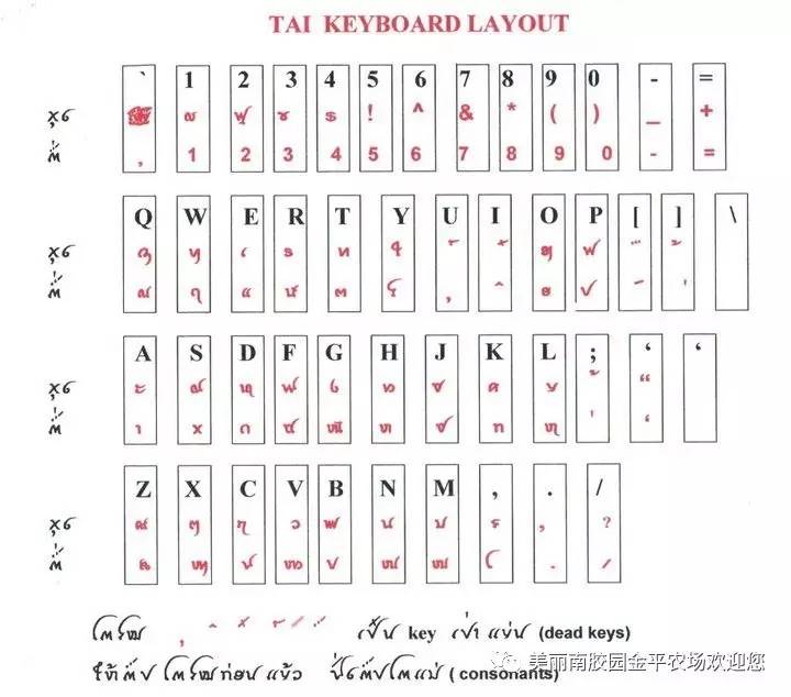 历史 正文 上图为越南黑傣文的键位图,早在十年前就已完成了编码的