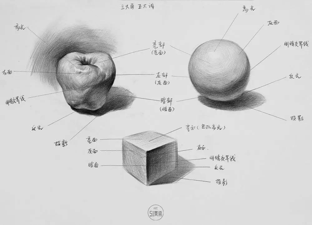 素描静物初学者入门单个塑造与质感表现