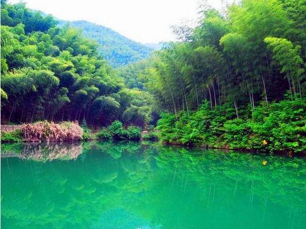 青青旅行 端午 黄山云海,水墨宏村,木坑竹海