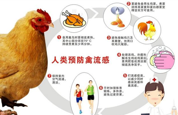 如何正确预防h7n9禽流感,为了健康大家要提高警惕