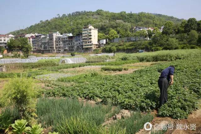 石泉县二里村人口_石泉县地图