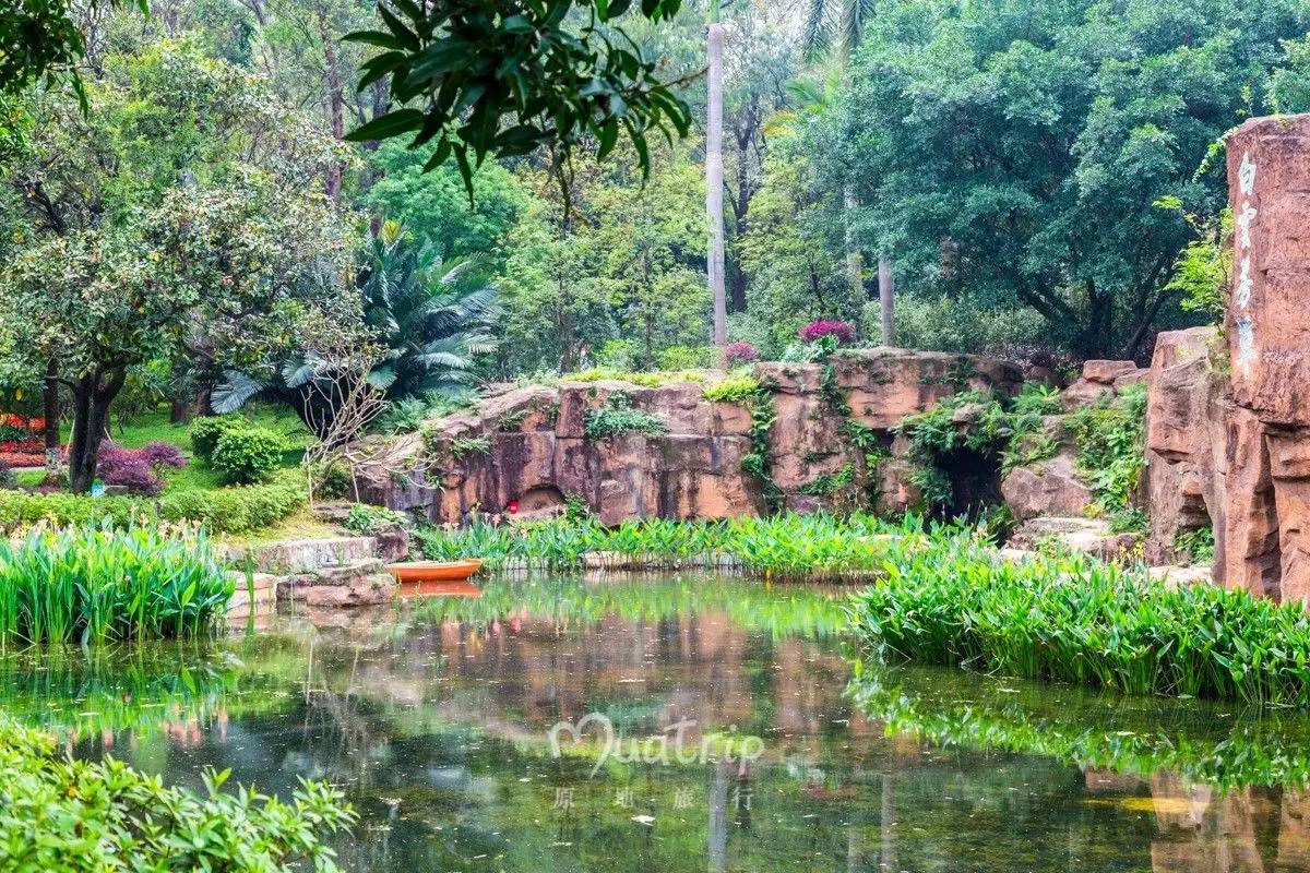 在广州人的后花园,滚最自由的草坪,看最私家的风景 聚芳园 玩乐