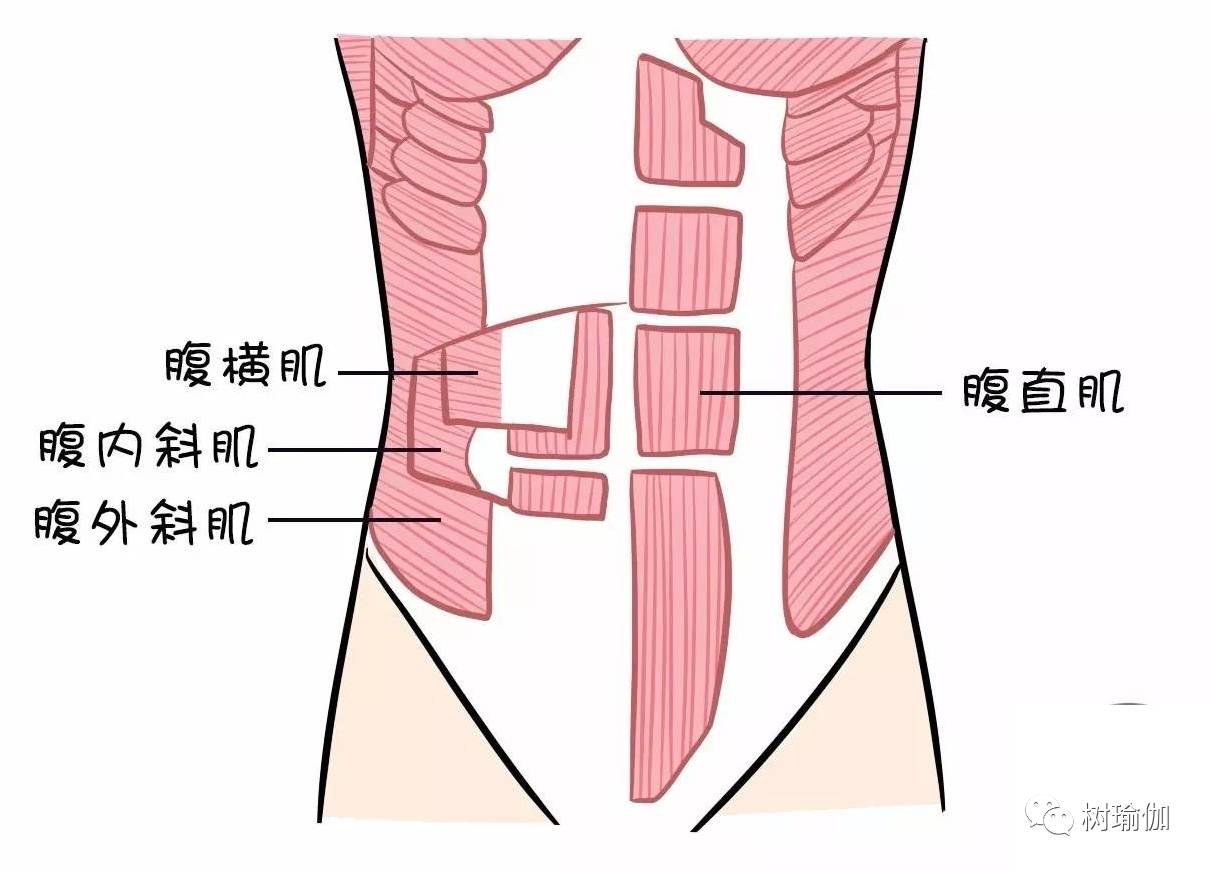 背扭到了很疼怎么办