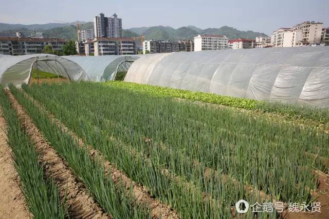 石泉县二里村人口_石泉县地图