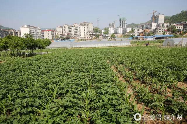 石泉县二里村人口_石泉县地图