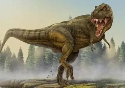 从各种各样可爱的小恐龙 到一些这个星球上曾出现过的 最大型的食肉