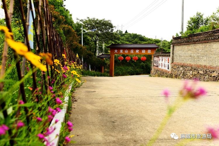 大龙山庄坐落于106国道麻城北段,黄土岗镇长岭岗菊园旁边(黄土岗方向