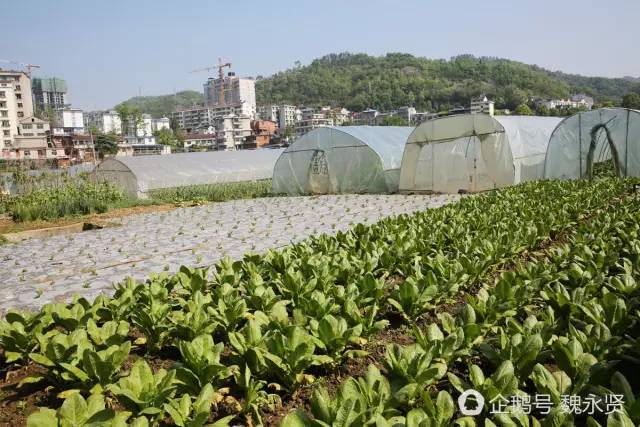 石泉县二里村人口_石泉县地图