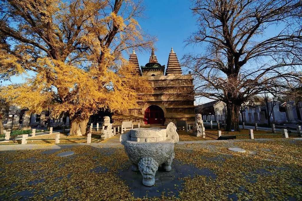 【荐书】真觉寺金刚宝座塔的第一本图录