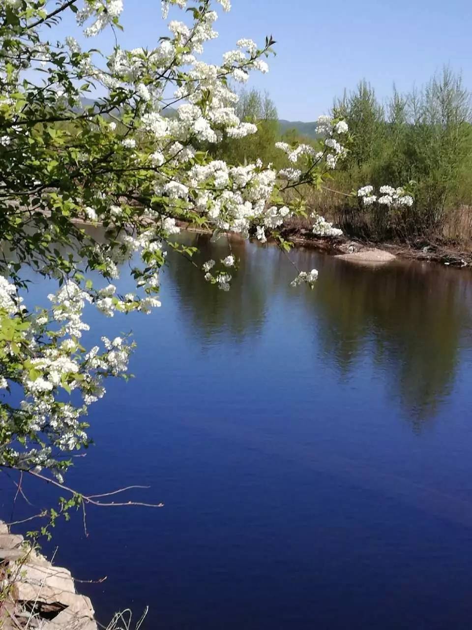 组图| 家乡初夏绘春景