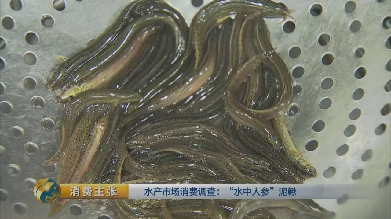 被称为"水中人参"的泥鳅,您知道应该怎么吃吗?