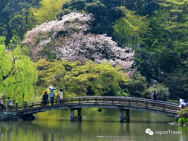 【东京】新宿24小时--乐趣永不停止-JapanTravel