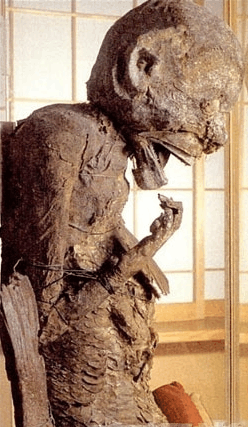 探索: 传说中的日本最古老的人鱼木乃伊之谜