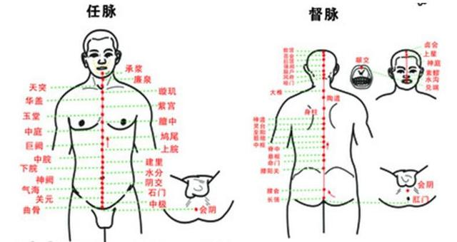 本经共有28个穴位,主治神志病,热病,腰,骶,背,头项等局部病症及