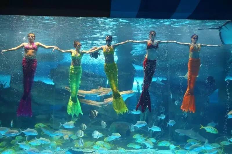 水下剧场中美人鱼穿梭在五彩斑斓的海洋王国里,让人叹为观止.