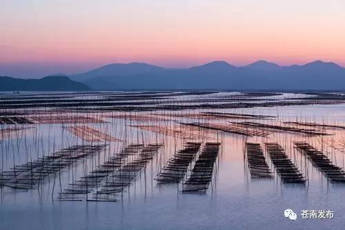 2020年苍南县矾山镇多少人口_苍南县矾山镇图片(3)