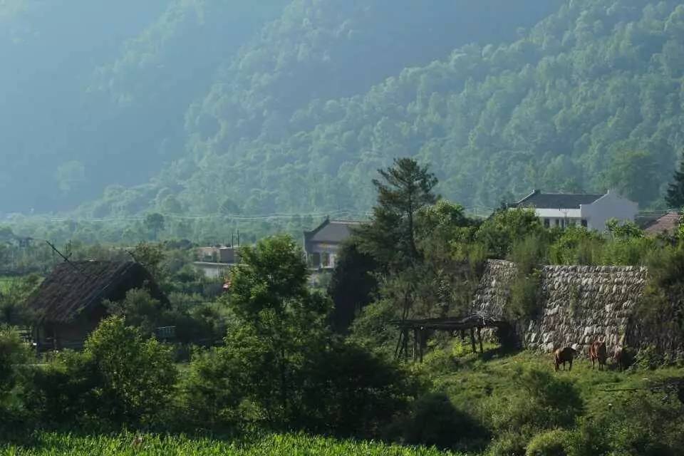 周至县有多少人口_爱上周至 定制版 周至使用说明书 新鲜出炉,请查收