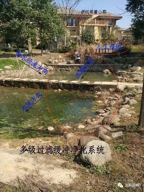 3.延缓径流速度,增强人工湿地过滤净化能力