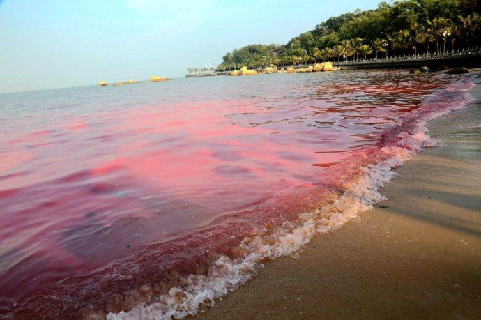 水污染破坏严重,工业废水的无节制排放还在继续