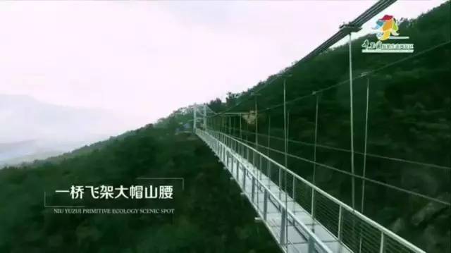 相约2017年5月28日挑战全广东最剌激高空玻璃桥，游览牛鱼嘴生态风景区，船游小北江享船餐