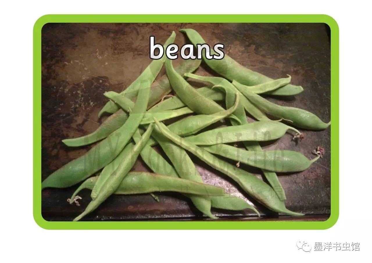 beans 豆荚