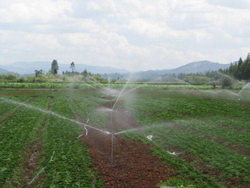 农业自动化灌溉系统水与物联网如何结合?