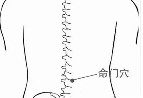 出发,往腰后水平绕去,两手食指交汇处就是命门(也可以用卷尺哈)手法