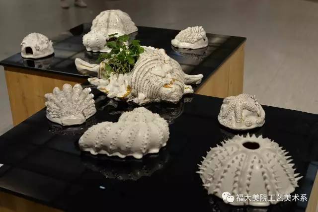 毕业季 | 2017福大工艺美院陶艺专业毕业作品展