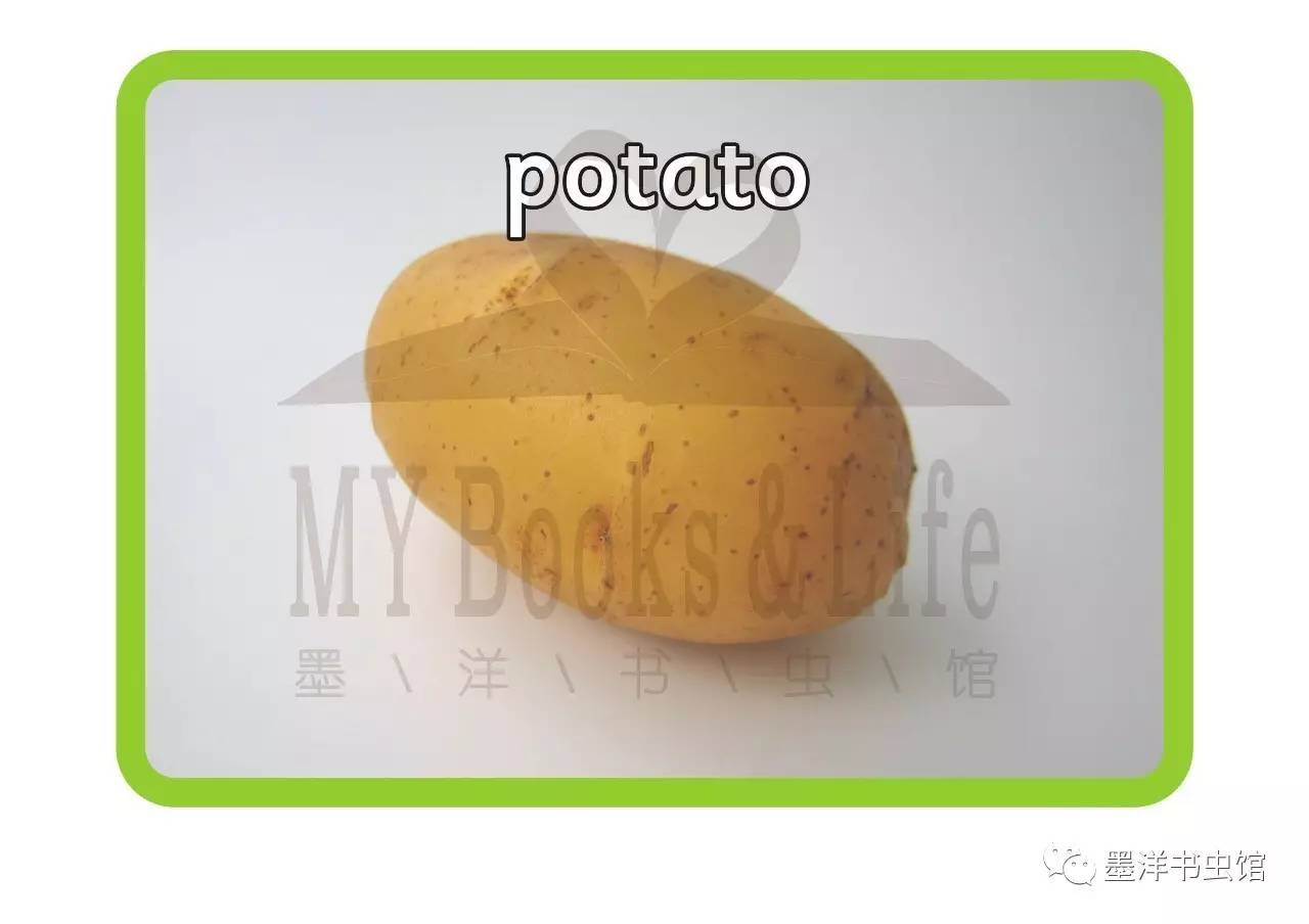 potato 土豆