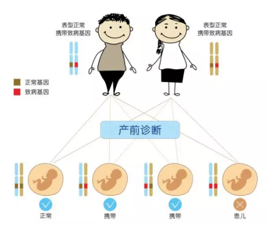 表现在智商低于同龄正常婴儿,生后4～9个月即可出现.