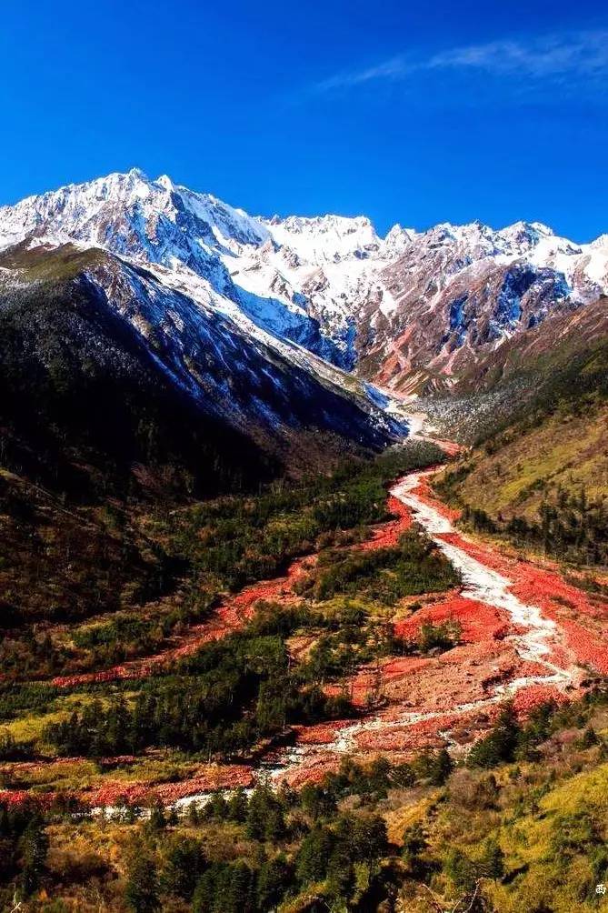 时候我们只是匆匆一瞥,殊不知错过了很多美景,就拿川西的折多山来说吧